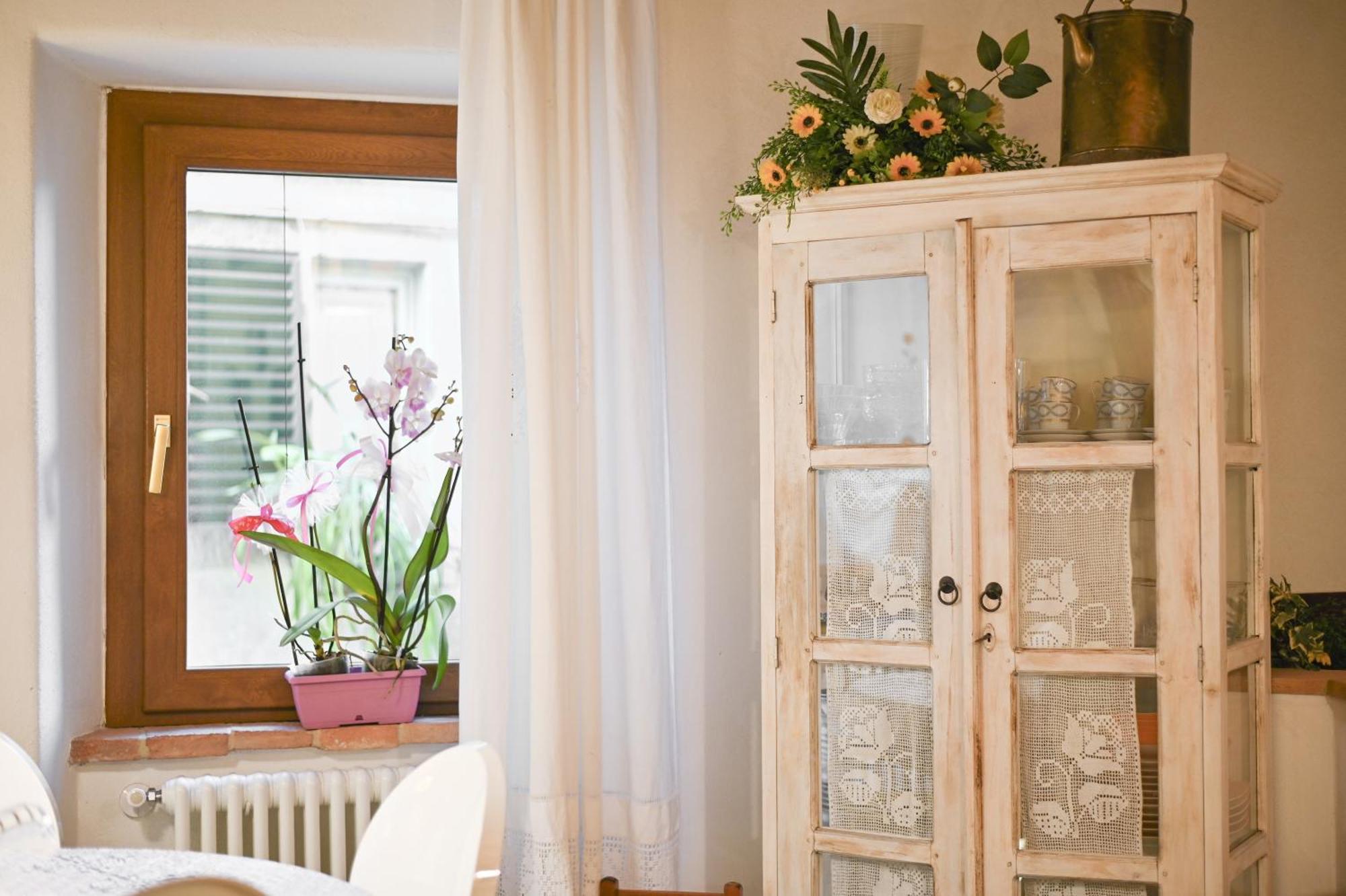 A Casa Da Nonna Elisa Διαμέρισμα Castel del Piano  Εξωτερικό φωτογραφία